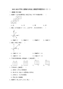 2022-2023学年人教版七年级上册数学寒假作业（十一）