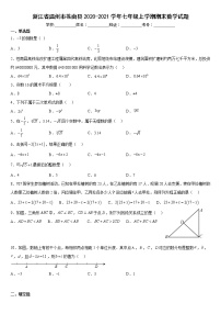 2020浙江省温州市苍南县期末数学试卷