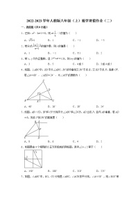 2022-2023学年人教版八年级（上）数学寒假作业（二）