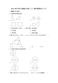 2022-2023学年人教版八年级（上）数学寒假作业（六）