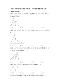 2022-2023学年人教版八年级（上）数学寒假作业（七）