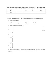 陕西省咸阳市兴平市2021-2022学年九年级上学期期末数学试卷(含答案)