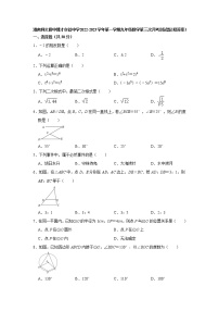 湖南师大附中博才实验中学2022-2023学年上学期九年级数学第三次月考测试题(含答案)