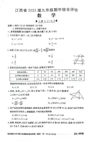 江西省九江市永修县2022-2023学年九年级上学期11月期中数学试题