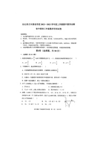 辽宁省沈阳市浑南区东北育才外国语学校2022-2023学年九年级上学期11月期中数学试题(含答案)