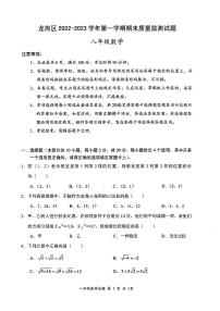 龙岗区2022-2023学年第一学期期末质量检测八年级上学期数学（无答案)