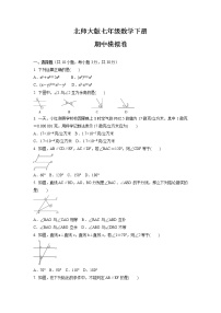 北师大版七年级数学下册期中考试模拟卷03