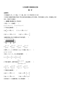 北师大版七年级数学下册期中考试模拟卷06