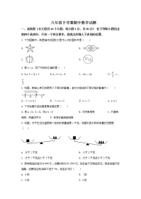 北师大版八年级数学下册期中考试模拟卷03