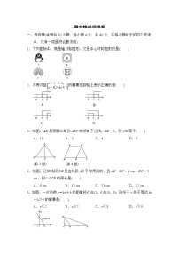 北师大版八年级数学下册期中考试模拟卷05