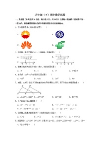 北师大版八年级数学下册期中考试模拟卷06