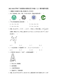 广东省阳江市阳东区2022-2023学年八年级上学期期中数学试卷(含答案)