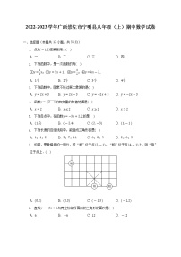 广西崇左市宁明县2022-2023学年八年级上学期期中数学试卷(含答案)