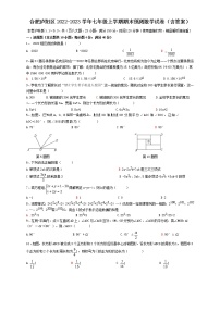 安徽省合肥市庐阳区2022-2023学年七年级上学期期末预测数学试卷 (含答案)