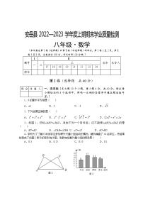 四川省资阳市安岳县2022—2023学年 八年级上学期期末学业质量检测 数学试题 (含答案)