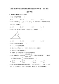 山东省青岛实验初级中学2022-2023学年八年级上学期期末数学试卷 (含答案)