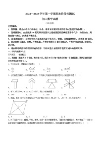 山东省烟台市2022-2023学年八年级上学期期末数学试题 (含答案)