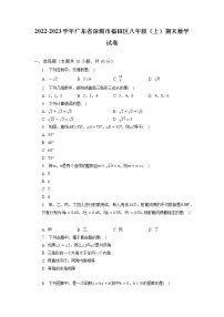 广东省深圳市福田区2022-2023学年八年级上学期期末数学试卷+