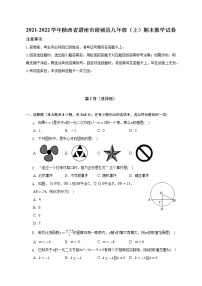 2021-2022学年陕西省渭南市澄城县九年级（上）期末数学试卷(解析版)