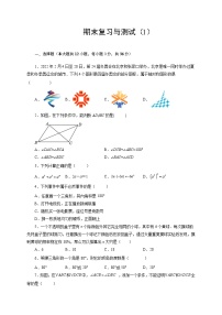 期末复习与测试（1）-【挑战满分】七年级数学下册阶段性复习精选精练（北师大版）