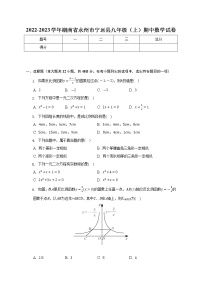 2022-2023学年湖南省永州市宁远县九年级（上）期中数学试卷(解析版)