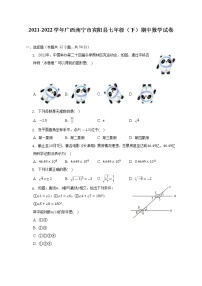 2021-2022学年广西南宁市宾阳县七年级（下）期中数学试卷(解析版)