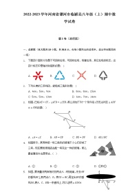 2022-2023学年河南省漯河市临颍县八年级（上）期中数学试卷(解析版)