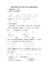 深圳市罗湖外语初中学校2022-2023学年九年级上学期期末数学试题(含答案)