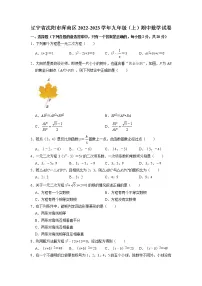 辽宁省沈阳市浑南区2022-2023学年九年级上学期期中数学试卷(含答案)