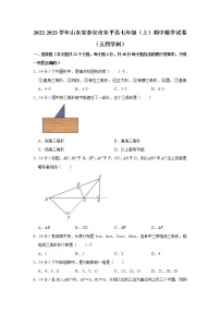 山东省泰安市东平县2022-2023学年七年级（上）期中数学试卷(含答案)