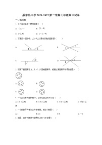 西藏那曲市聂荣县2021-2022学年七年级下学期期中考试数学试卷(含答案)