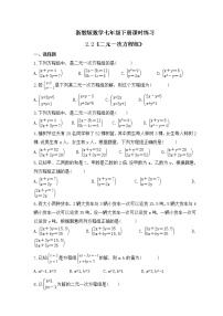 浙教版七年级下册2.2 二元一次方程组精品一课一练