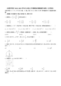 安徽省合肥市庐阳区2022-2023学年九年级上学期期末预测数学试卷(含答案)