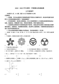 广东省阳江市阳西县2022-2023学年九年级上学期期末考试数学试题(含答案)