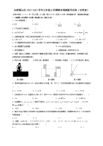 安徽省合肥市蜀山区2022-2023学年七年级上学期期末预测数学试卷(含答案)