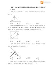 专题27.11 由平行线截得的比例线段（培优篇）（专项练习）-2022-2023学年九年级数学下册基础知识专项讲练（人教版）