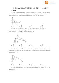 专题27.22 相似三角形的性质（培优篇）（专项练习）-2022-2023学年九年级数学下册基础知识专项讲练（人教版）