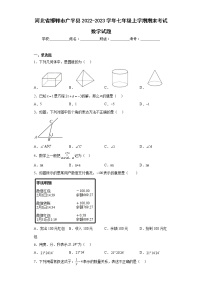 河北省邯郸市广平县2022-2023学年七年级上学期期末考试数学试题(含答案)