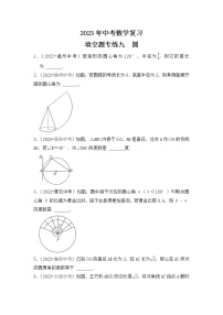 9. 2023年中考数学复习  填空题专练九  圆