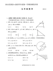 北京市房山区2022-2023学年九上期末数学测试卷（无答案）