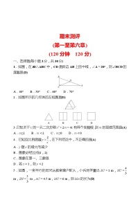 期末测评 试卷 2022-2023 北师大版数学 九年级上册