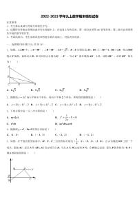 2023届上海市杨浦区九级第一期期末一模考试数学九年级第一学期期末复习检测模拟试题含解析