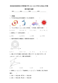 河南省河南师范大学附属中学2022-2023学年九年级上学期期中数学试题