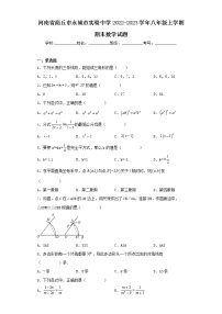 河南省商丘市永城市实验中学2022-2023学年八年级上学期期末数学试题