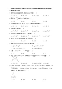 广东省湛江市雷州市第三中学2022-2023学年八年级数学上学期期末模拟测试卷(含答案)