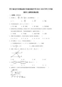 四川省达州市渠县流江初级实验中学2022-2023学年八年级数学上册期末测试卷