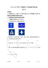 河南省三门峡市陕州区2022-2023学年八年级上学期期中数学试题