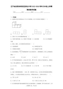 辽宁省沈阳市铁西区杏坛中学2022-2023学年九年级上学期期末数学试题