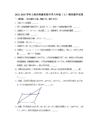 2022-2023学年上海市青浦实验中学八年级(上)期末数学试卷