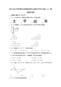 2022-2023学年黑龙江省鸡西市密山市杨木中学九年级（上）期末数学试卷